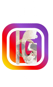 till death tattoo studio skull instagram